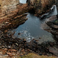 The Brough of Deerness Orkney Island 2 e