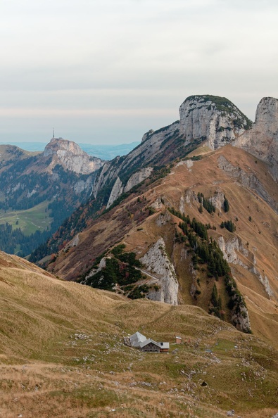 IMGL5178_web.jpg